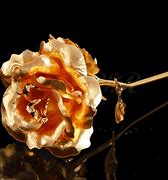 Image result for Forever Rose Gold