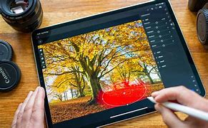 Image result for Procreate App for iPad