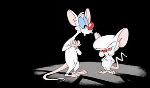 Image result for Pinky and the Brain You Got Him Now