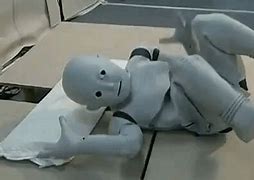 Image result for Robot Life Like Human