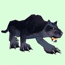 Image result for Ferocity Pets