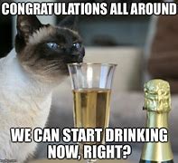 Image result for Congrats Cat Meme