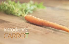 Image result for iPhone 24 Carrot