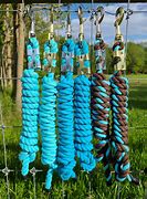 Image result for Horse Lead Rope
