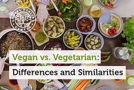 Image result for How to Show Difference Between Vegan and Vegetrian