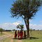 Image result for Maasai Mara Kenya