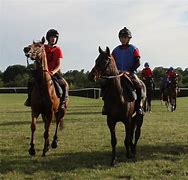 Image result for Pony Racing Academy