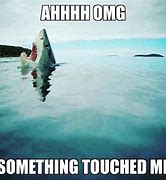 Image result for Funny Clean Shark Memes