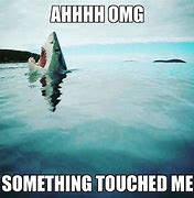 Image result for 2 People Shocked Meme Shark