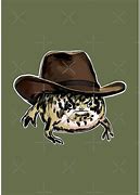 Image result for Desert Rain Frog Meme