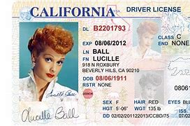 Image result for CA ID Card Template