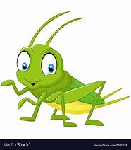 Image result for Funny Cricket Bug