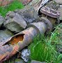 Image result for Corroded Cast Iron Pipe
