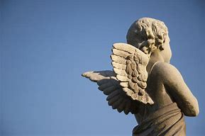 Image result for Guardian Angel Protector