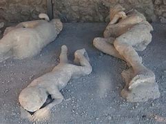 Image result for Pompeii Eruption Bodies