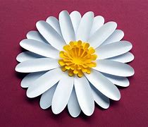 Image result for Paper Flower Cut Out