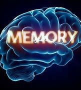 Image result for Facts About Memory for Children