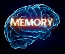 Image result for Human Memory Types