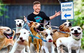 Image result for Dog Adoption Kids Show