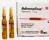 Image result for adrenapina