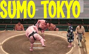 Image result for Sumo Fighter