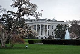 Image result for Laura Coats White House Correspondents