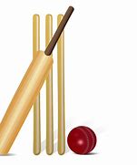 Image result for Cricket ClipArt