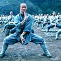 Image result for Chinese Martial Arts Actresses