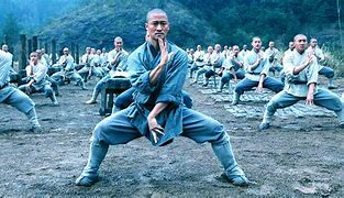 Image result for Kung Fu Martial Arts Movies