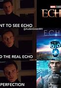 Image result for Echo Meme