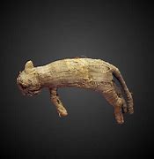 Image result for Mummified Cats Egypt