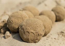 Image result for Beach Ball Sand