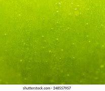 Image result for Green Apple Texture