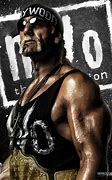 Image result for WWE Wrestling Hulk Hogan