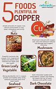 Image result for Copper Food Sources