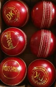 Image result for DK Cricket Helmet