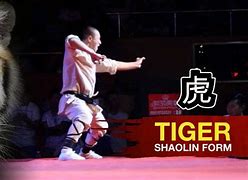 Image result for Tiger Palm Kung Fu