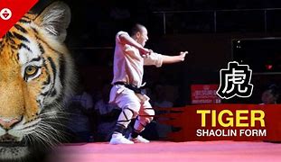 Image result for Shaolin Tiger Kung Fu