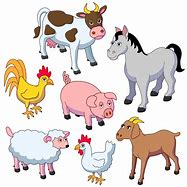 Image result for Animals On the Farm for Kids