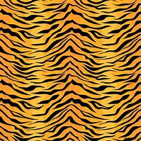 Image result for Black Tiger Stripes