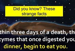 Image result for Did You Know Strange Facts