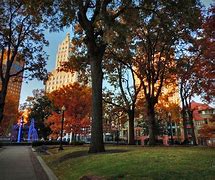 Image result for Memphis Foliage