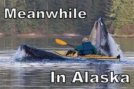 Image result for Alaska Happy Birthday Meme