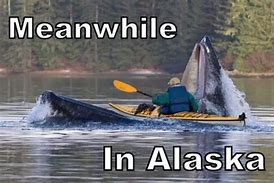 Image result for Mike Dunleavy Alaska Memes
