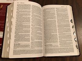 Image result for Amplified Bible with Tabs
