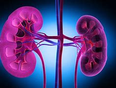 Image result for Nsaid Nephropathy