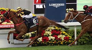 Image result for Hong Kong Horse Racing