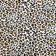 Image result for Snow Leopard Print