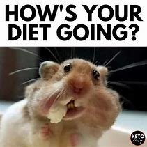 Image result for Funny Dieting Memes
