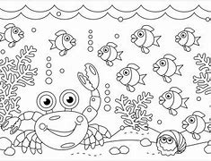 Image result for Underwater Marine Life Wallpaper